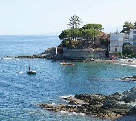 Cap Corse Une Villa Dans Un Nid De Verdure San-Martino-di-Lota Ngoại thất bức ảnh