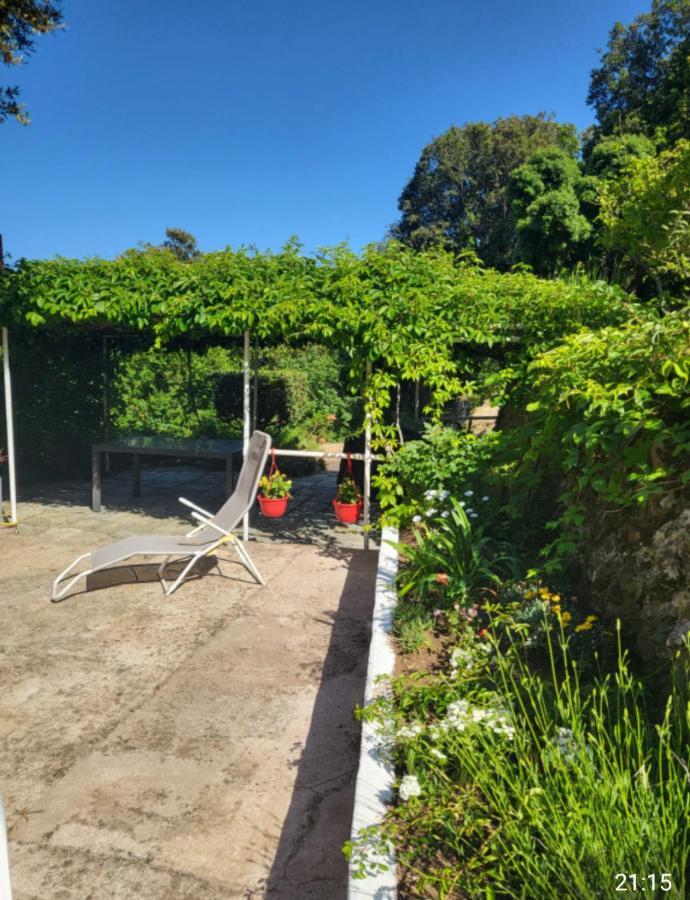 Cap Corse Une Villa Dans Un Nid De Verdure San-Martino-di-Lota Ngoại thất bức ảnh