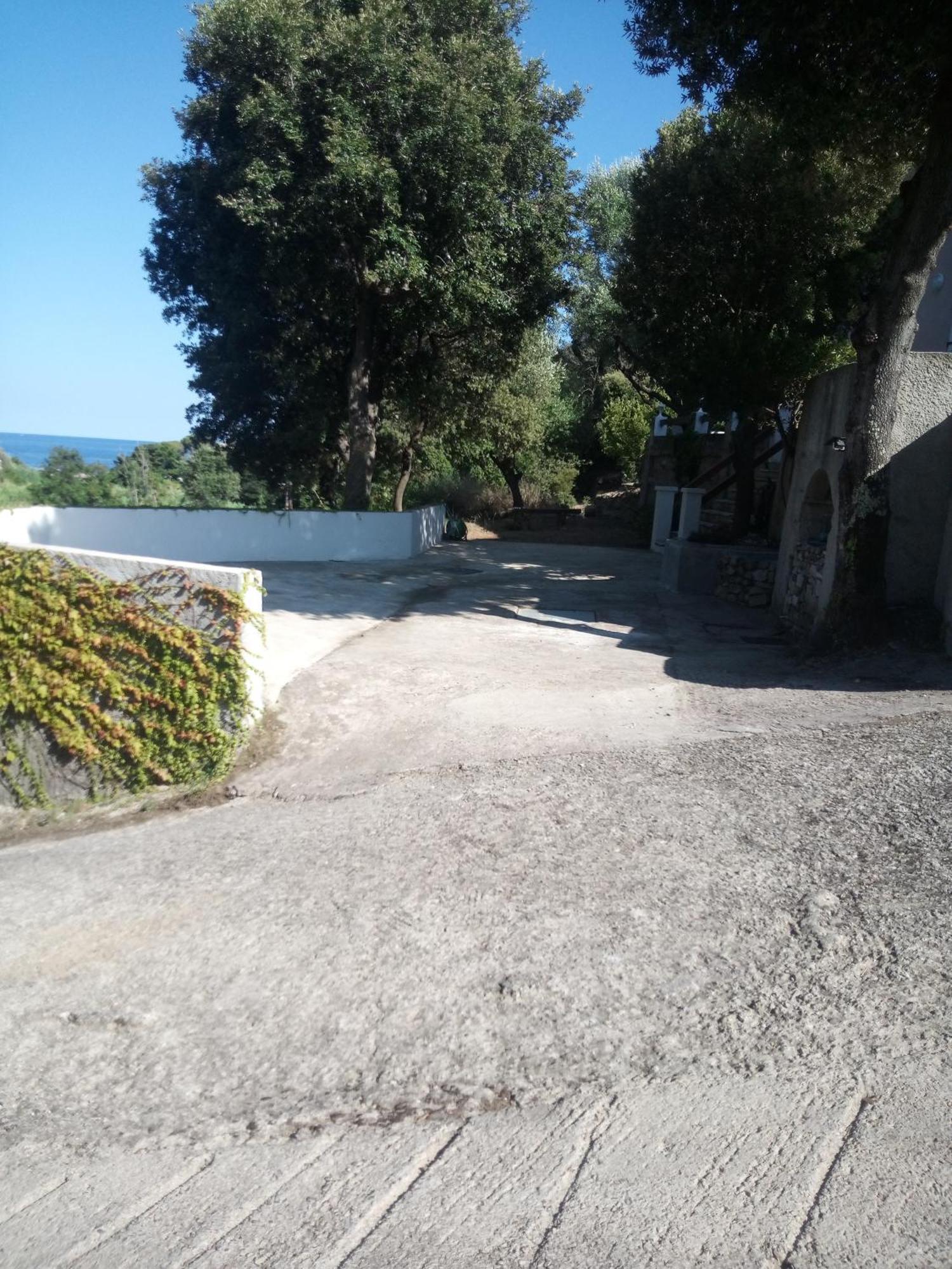 Cap Corse Une Villa Dans Un Nid De Verdure San-Martino-di-Lota Ngoại thất bức ảnh